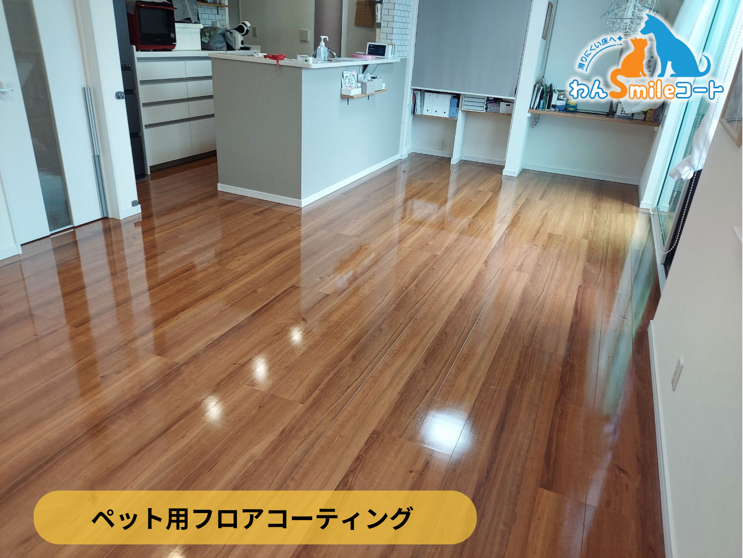 【群馬県伊勢崎市】ペット用フロアコーティング施工事例｜入居中戸建て(８年)　わんスマイルコート