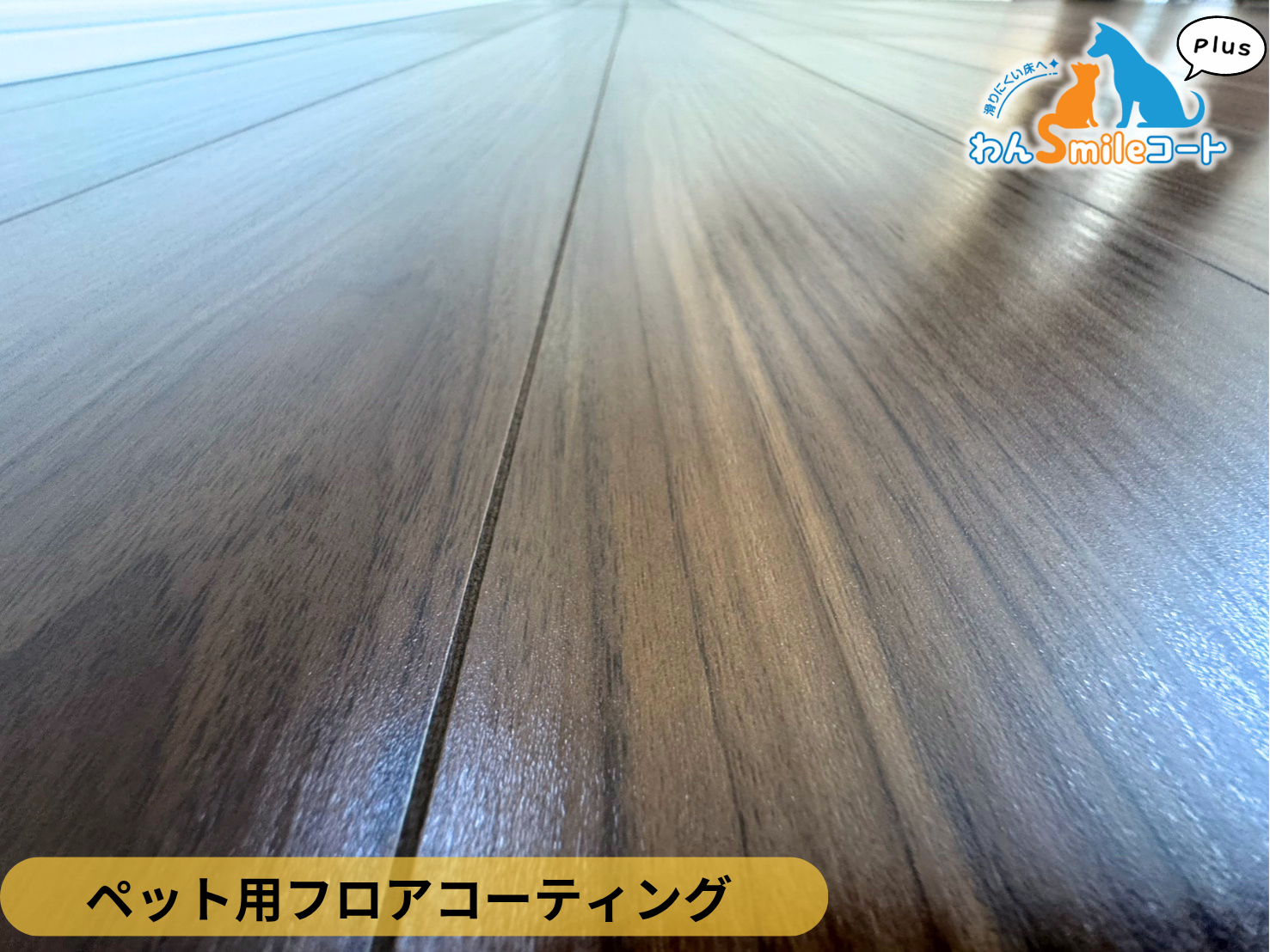 【神奈川県川崎市多摩区】ペット用フロアコーティング施工事例|新築戸建て わんスマイルコートplus