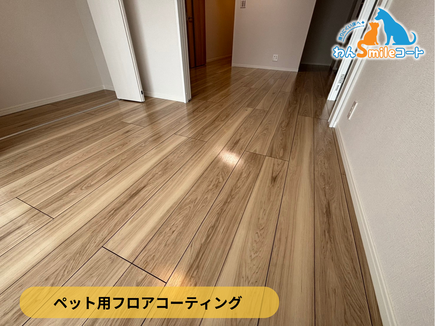【神奈川県横浜市鶴見区】ペット用フロアコーティング施工事例｜リノベーションマンション　わんスマイルコート