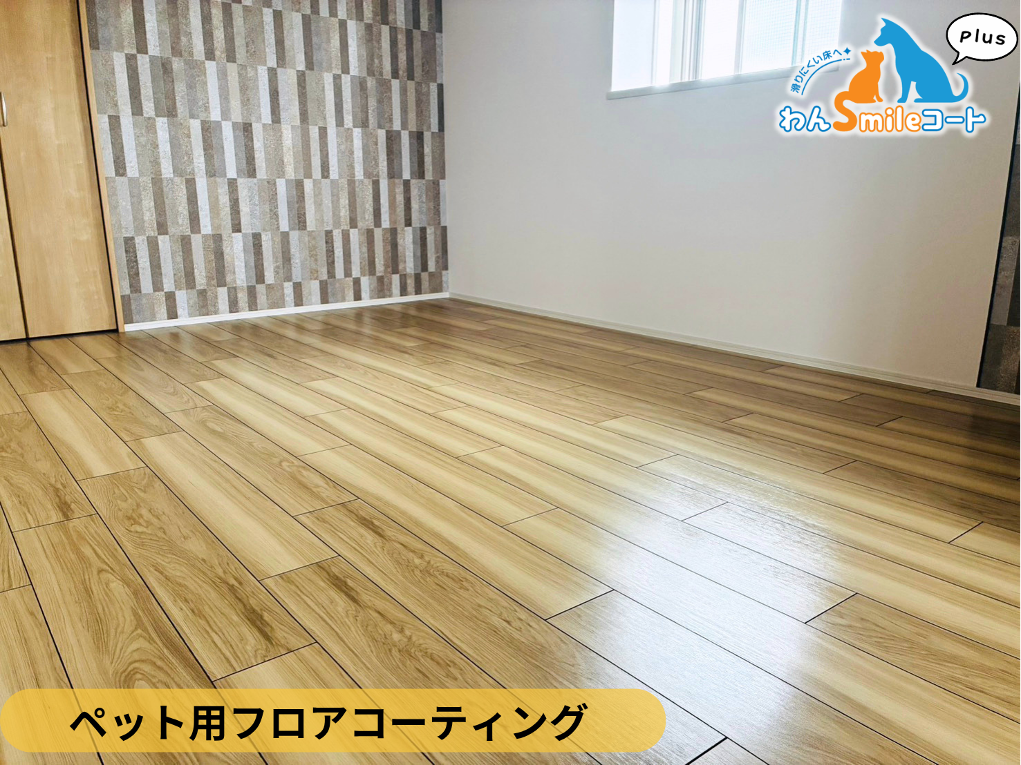【宮城県仙台市太白区】ペット用フロアコーティング施工事例｜新築マンション デュオリスタ南仙台　わんスマイルコートplus