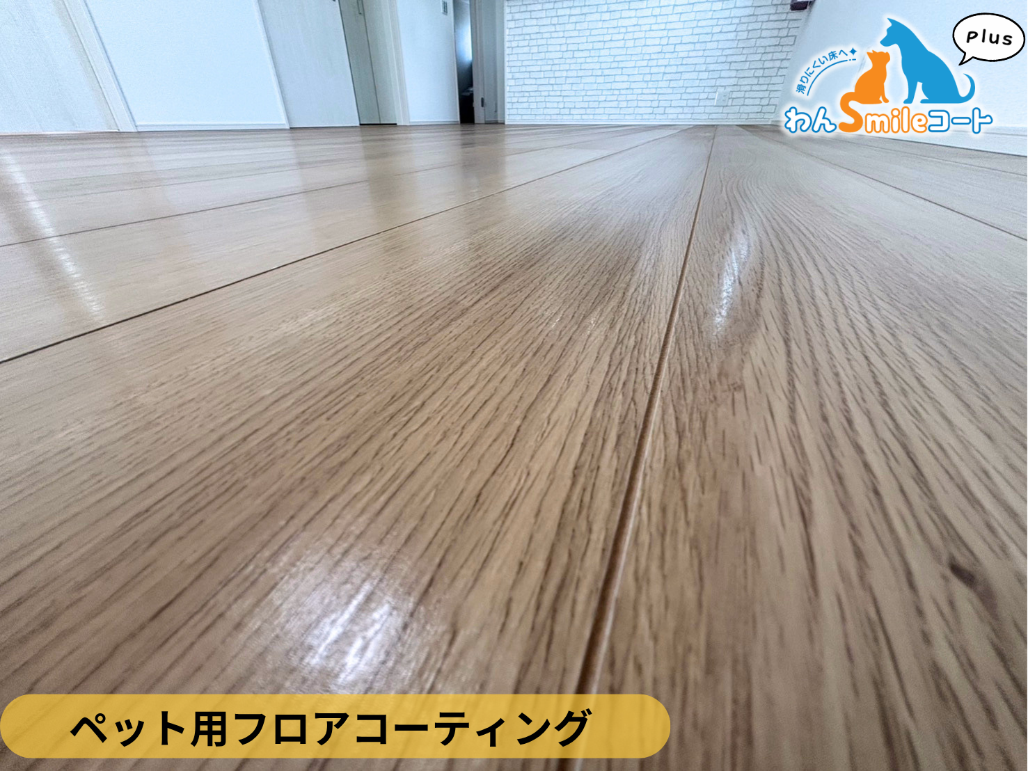 【埼玉県加須市】ペット用フロアコーティング施工事例｜ファイブイズホーム新築戸建て　わんスマイルコートplus
