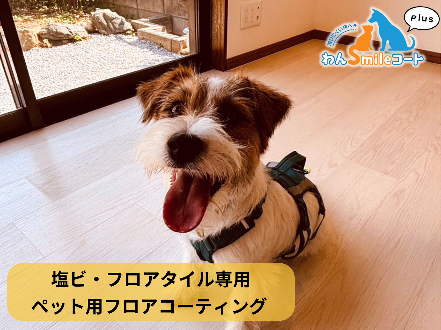 【埼玉県日光市】ペット用フロアコーティング施工事例|リノベーション戸建て わんスマイルコートplus 塩ビ・フロアタイル専用