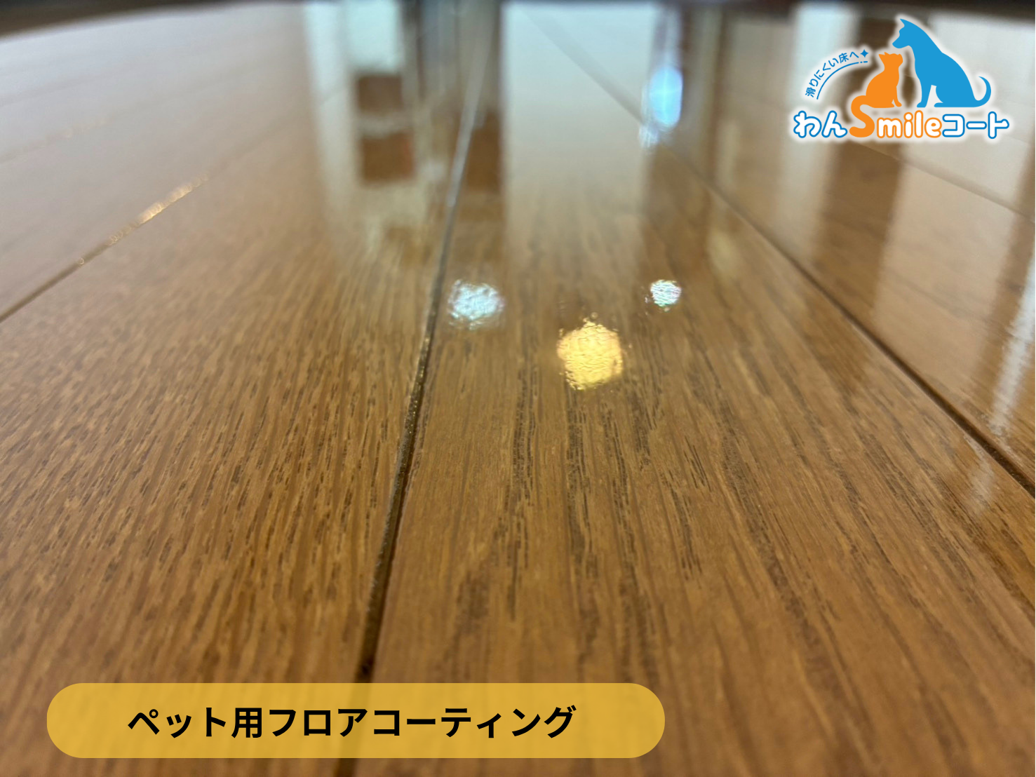 【埼玉県所沢市】入居中マンション(20年)にわんスマイルコートを施工｜愛犬の滑り対策におすすめのペット用フロアコーティング