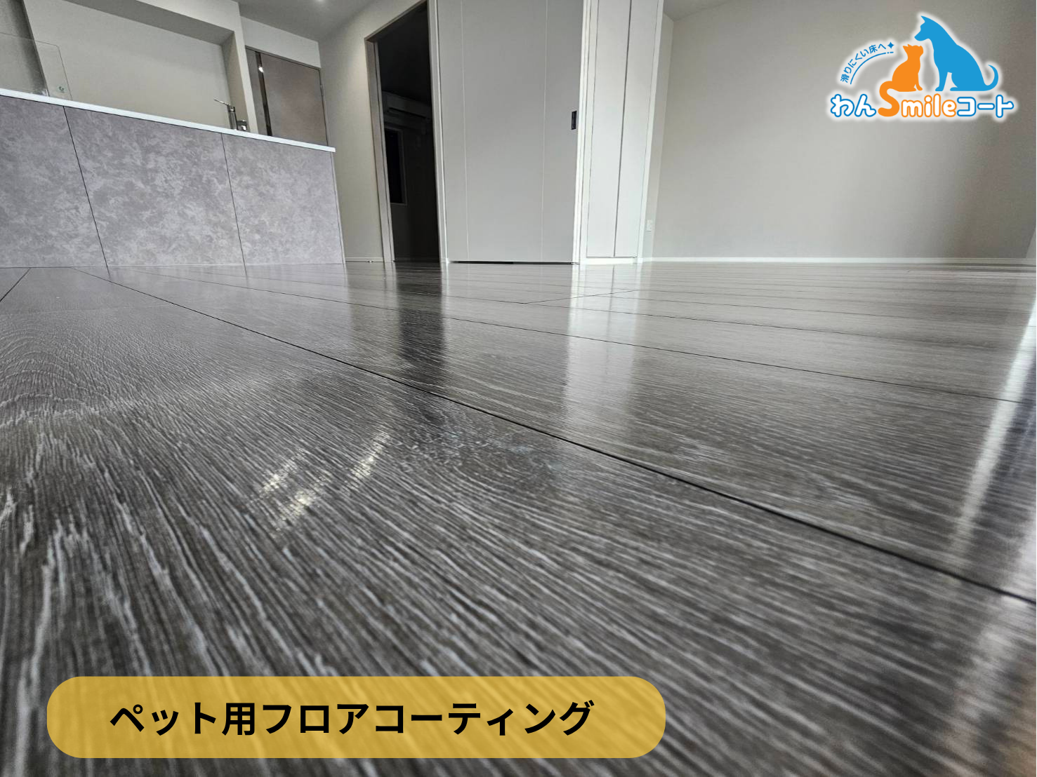 【東京都江戸川区】ペット用フロアコーティング施工事例｜新築マンション ヴェリテージ葛西の杜　わんスマイルコート