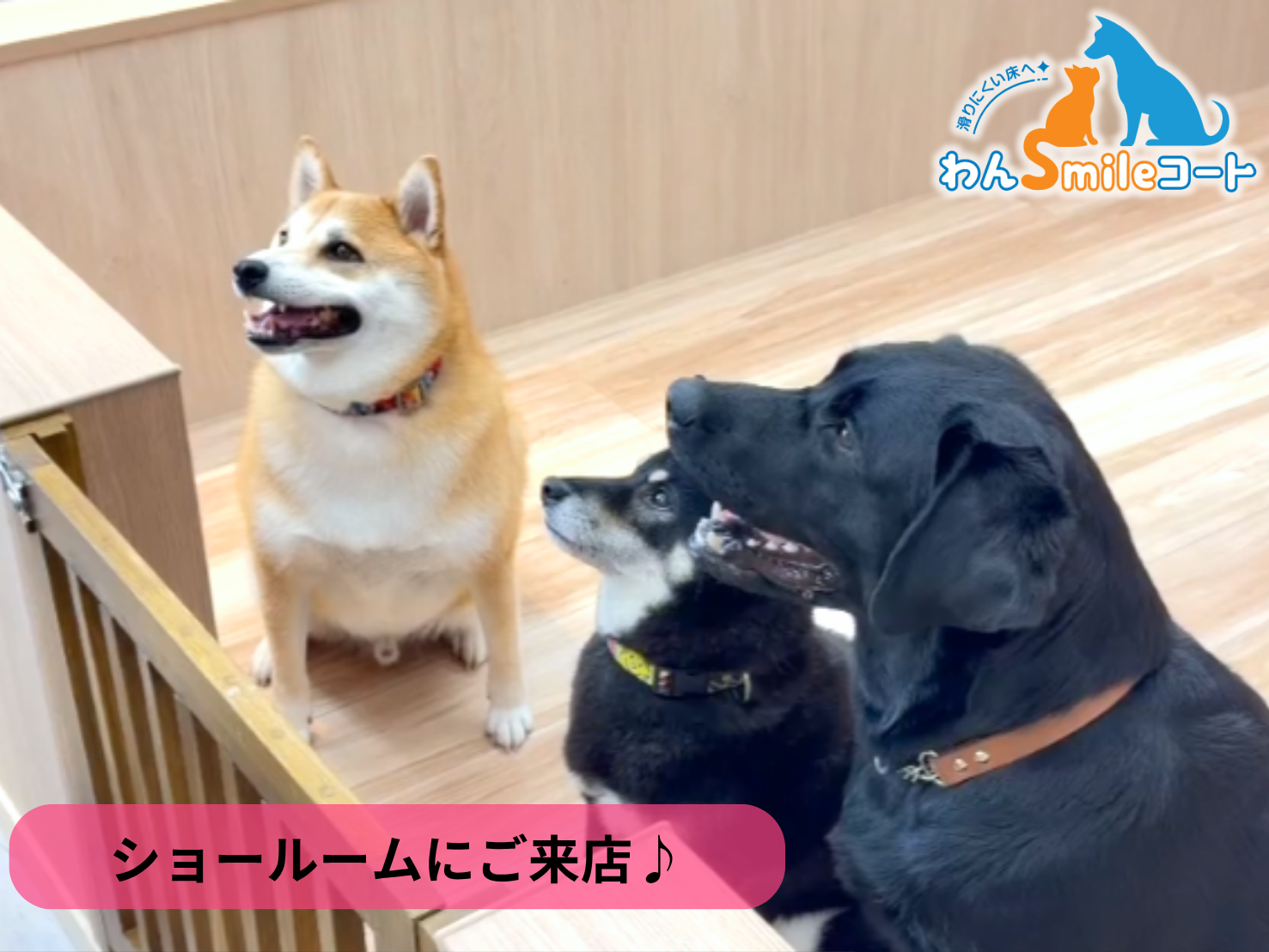 【郡山市】ショールームにご来店いただきました｜フロアコーティングご相談事例