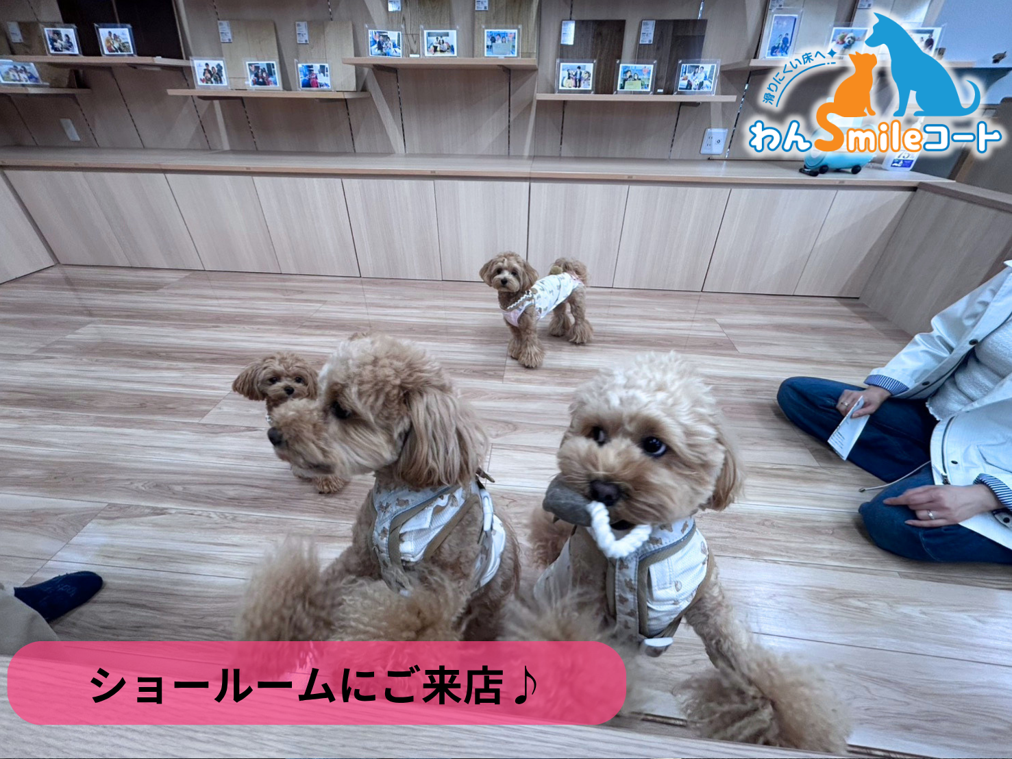 【郡山市】ショールームにご来店いただきました｜フロアコーティングご相談事例