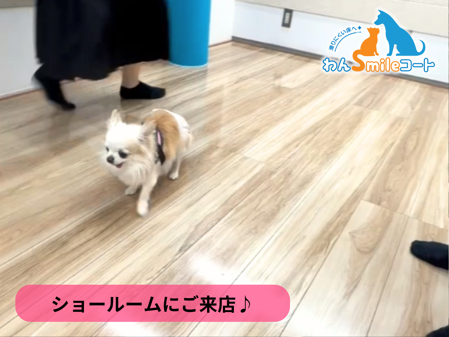 【埼玉県さいたま市】ショールームにご来店いただきました｜フロアコーティングご相談事例