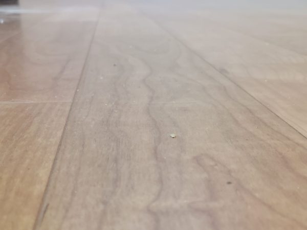 群馬県佐波郡 フロアコーティング 施工前の様子