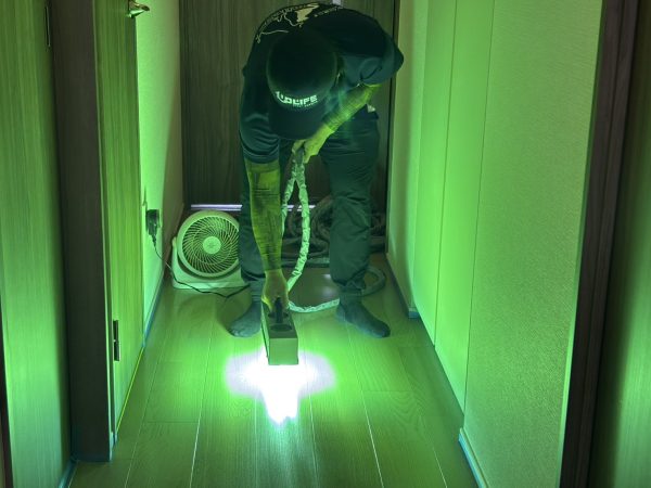 埼玉県ふじみ野市 フロアコーティング 施工中の様子