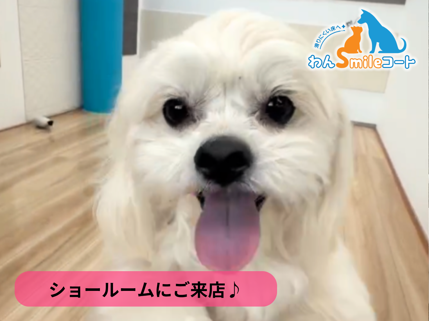 【埼玉県さいたま市】フロアコーティングを実際に見て比較できるショールーム|ご相談・体験事例