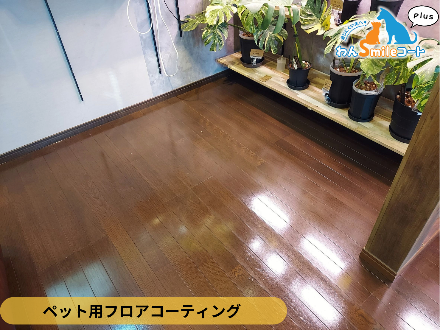 【群馬県太田市】入居中戸建て(１５年)へわんスマイルコートPlus施工事例｜愛犬が滑りにくいマット仕上げのフロアコーティング