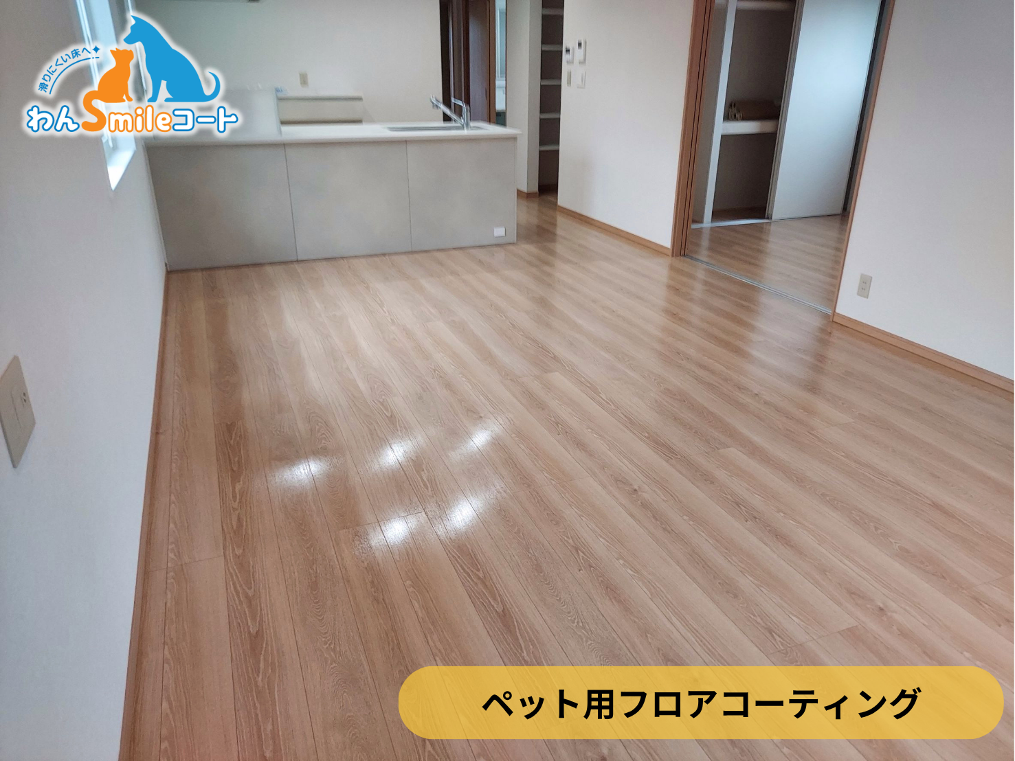 【茨城県つくば市】新築平屋戸建てにわんスマイルコートを施工｜愛犬の滑り対策におすすめのペット用フロアコーティング