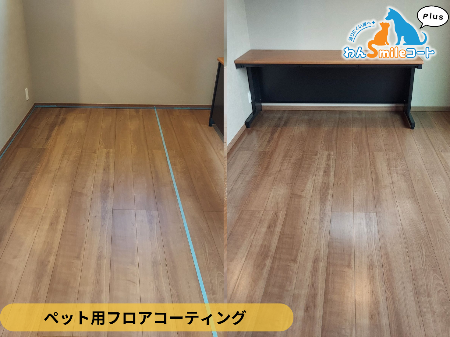 【東京都板橋区】新築戸建てわんスマイルコートPlus施工事例｜愛犬が滑りにくいマット仕上げのフロアコーティング