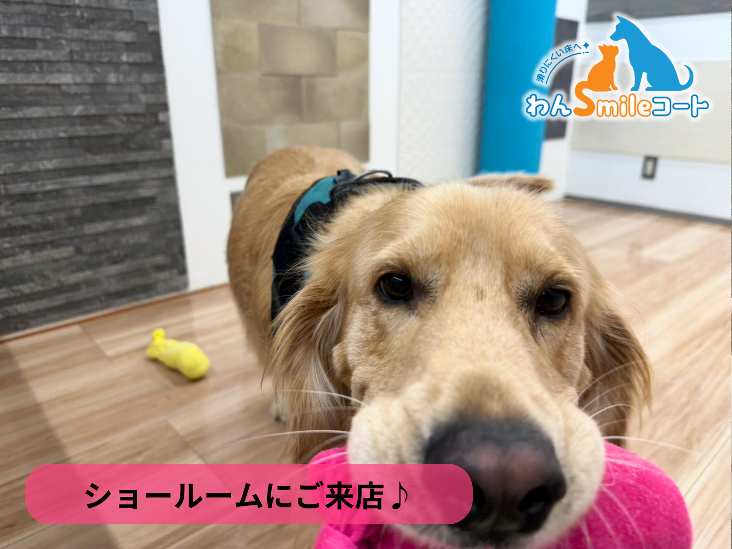 【埼玉県さいたま市】フロアコーティングを実際に見て比較できるショールーム｜ご相談・体験事例