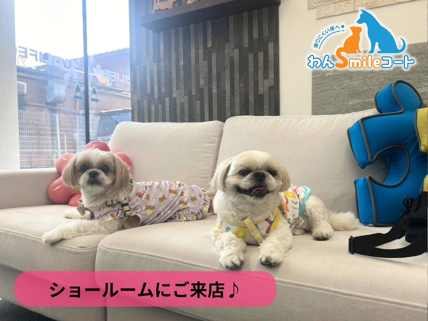 【埼玉県さいたま市】フロアコーティングを実際に見て比較できるショールーム｜ご相談・体験事例