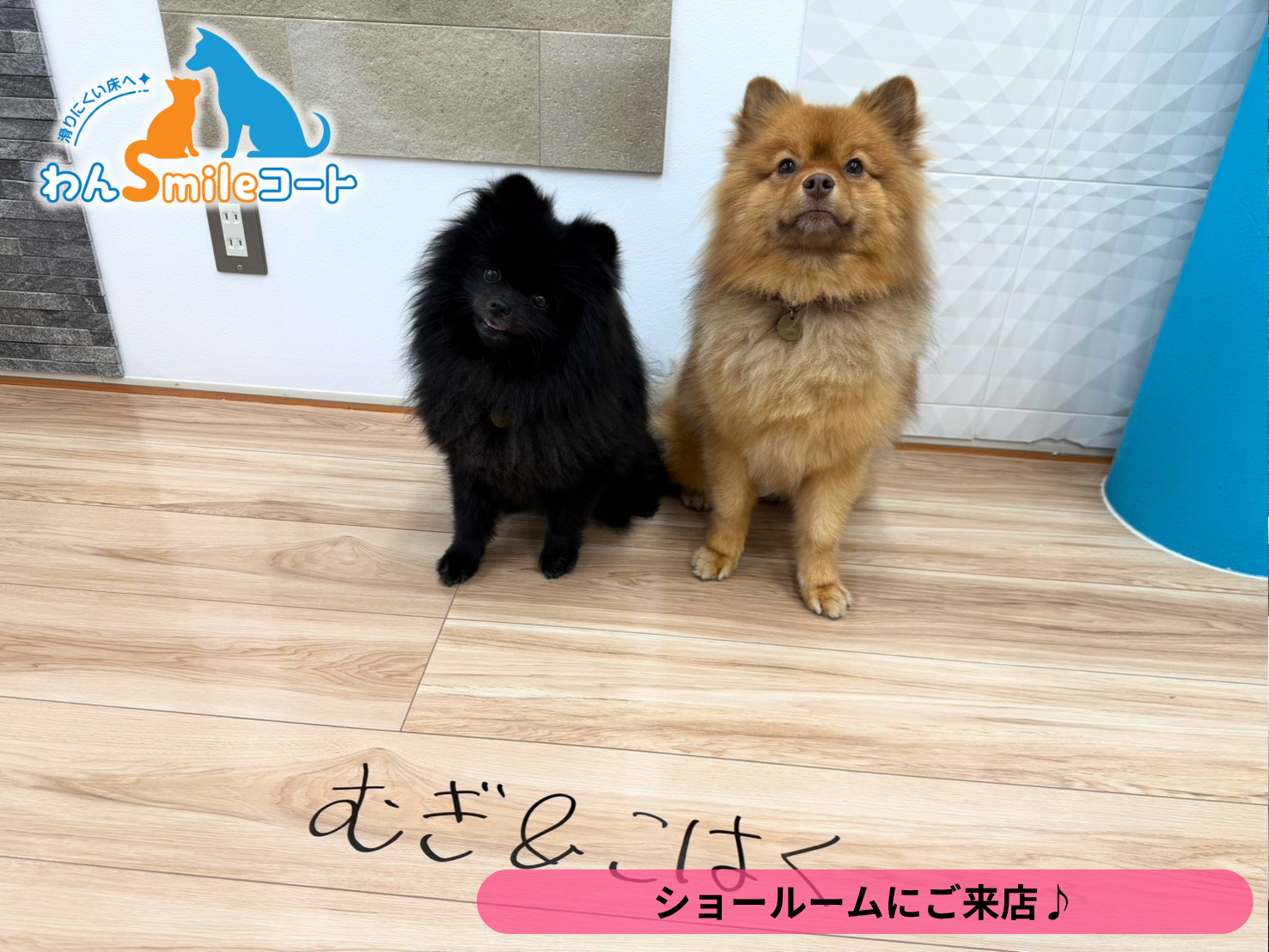 【埼玉県さいたま市】フロアコーティングを実際に見て比較できるショールーム｜ご相談・体験事例