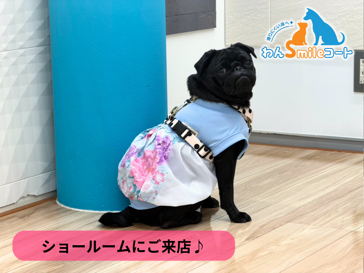 【埼玉県さいたま市】フロアコーティングを実際に見て比較できるショールーム｜ご相談・体験事例